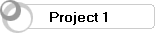 Project 1